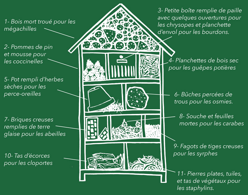 La ferme semencière : l'hôtel à insectes - La Semence Bio