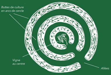 mandala -ferme semenciere - permaculture bio