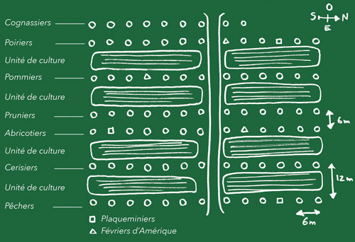 verger maraicher - agroforesterie - potager bio