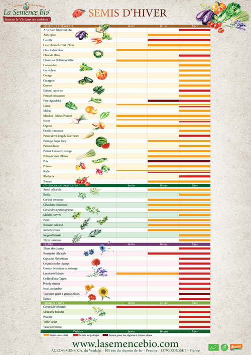 calendrier des semis d'hiver bio