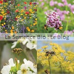 Mélange de fleurs abeilles