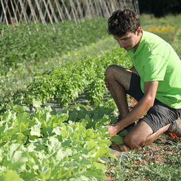 Ferme semencière bio