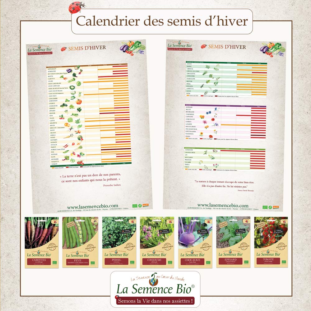 Calendrier des semis d'hiver - La Semence Bio  Calendrier des semis,  Calendrier jardinage, Calendrier potager