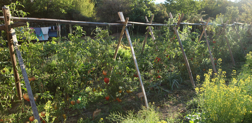 potager bio - permaculture