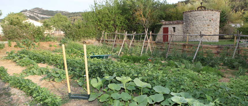 potager bio - permaculture