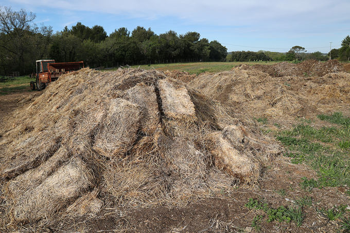 ferme semencière bio - fumier