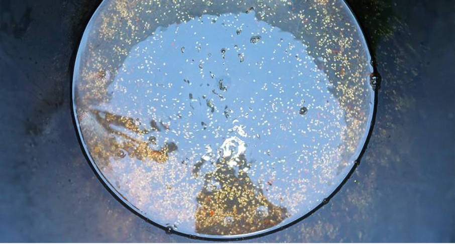 Le métier de semencier