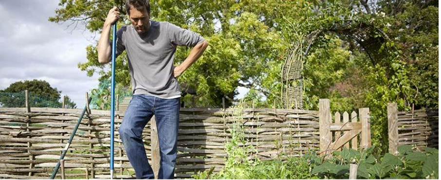 comment débuter un potager facilement