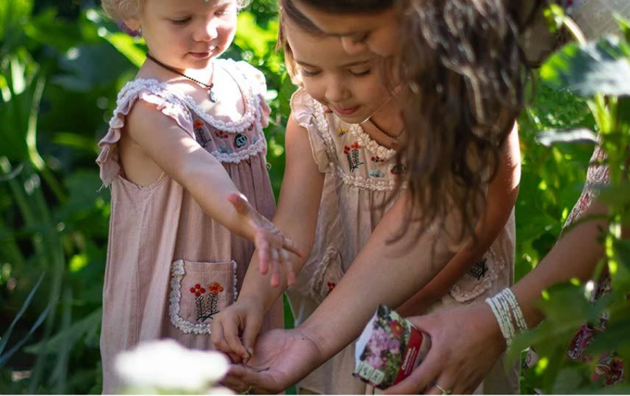 comment débuter un potager facilement
