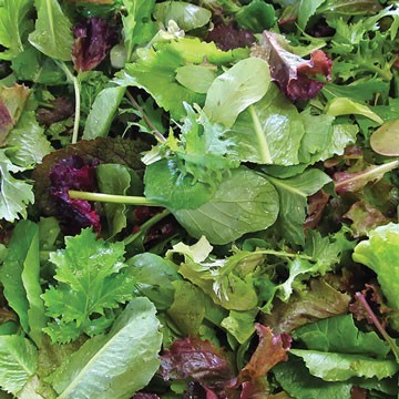 Mesclun