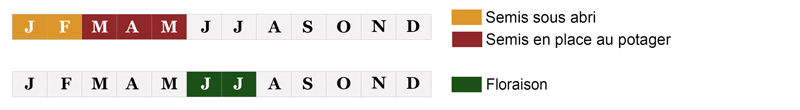 calendrier semis lavande bio