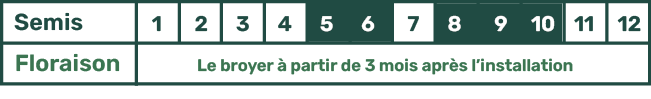 Picto Calendrier Jachère