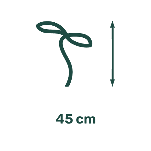 Picto Hauteur 45 cm