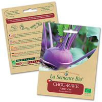 chou rave bio - LA semence bio
