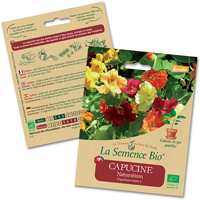 fleur bio - LA semence bio