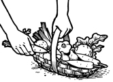 panier legumes La semence bio