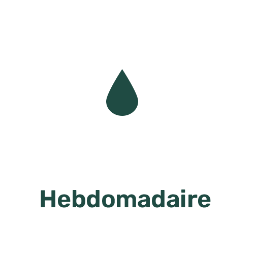 Arrosage HEBDOMADAIRE Arrosage HEBDOMADAIRE