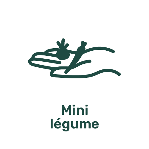 Mini légume