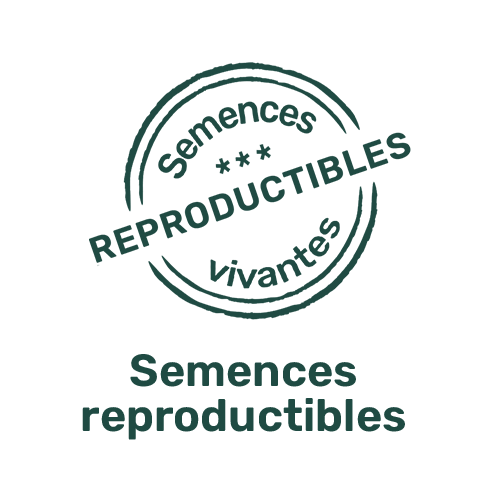 Semences reproductibles