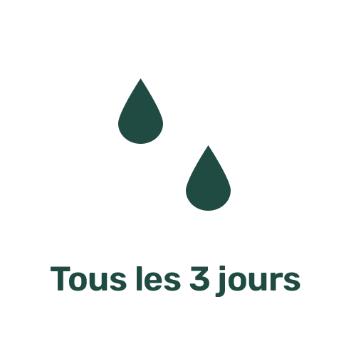 Arrosage TOUS_LES_3_JOURS Arrosage TOUS_LES_3_JOURS