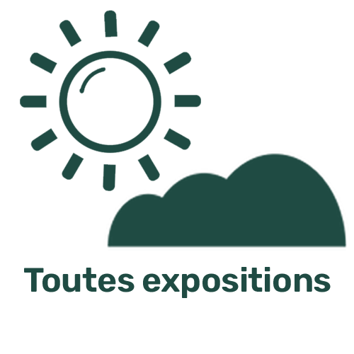 Exposition TOUTES_EXPOSITIONS Exposition TOUTES_EXPOSITIONS